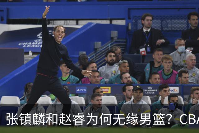 张镇麟和赵睿为何无缘男篮？CBA名记分析，道出2个原因